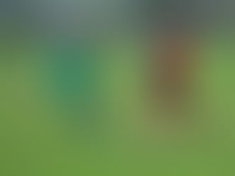 Arnreit gewinnt Kellerduell