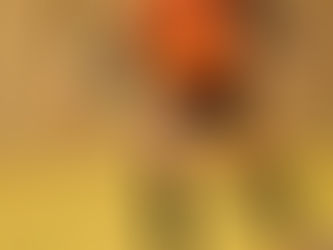 Nullrunde für Arnreit