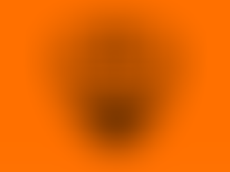 Neues Trainergespann bei den Orange-Schwarzen