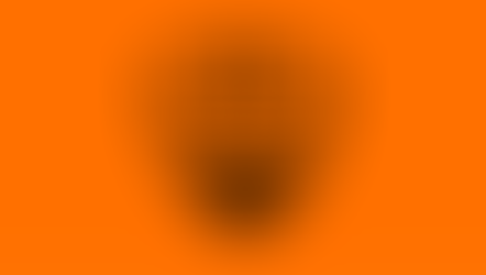 Neues Trainergespann bei den Orange-Schwarzen