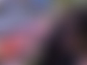 The Barcelona fresh market