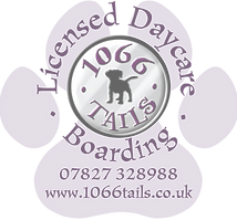 1066-Tails-Updated-logo---2026-60trans.png