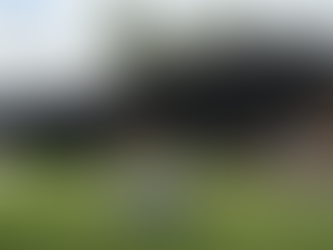 CORTACESPED ELECTRICO GPS