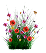 spring-1402599_1920.png