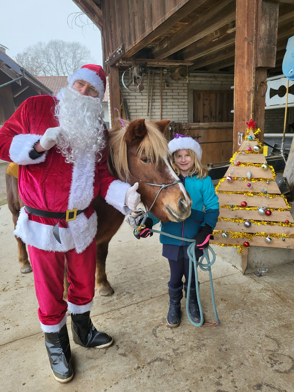 photos de l'equifun de Noêl avec les chevaux et les enfants