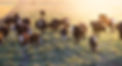 AdobeStock_476103942.jpeg