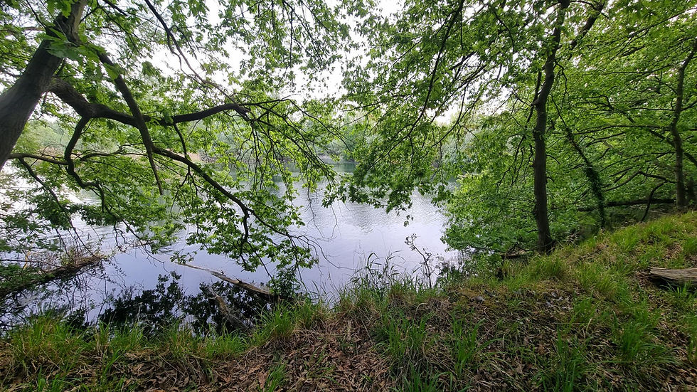 Paxton Pits