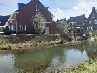 Inplanten talud