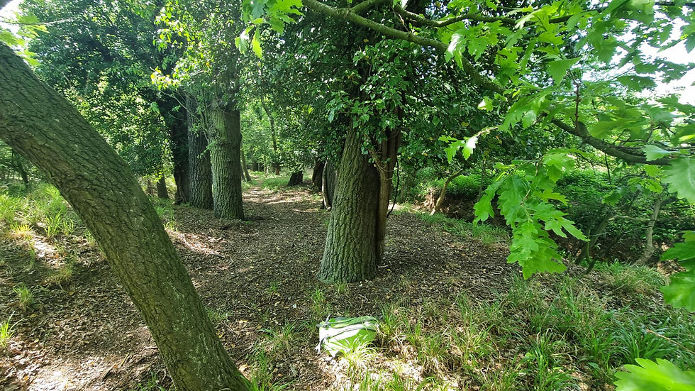 Paxton Pits