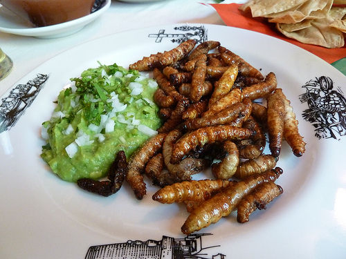 tacos-de-gusanos-de-maguey.jpg