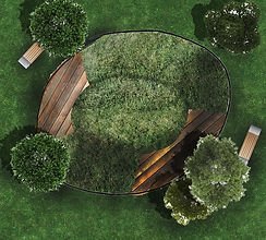 Montage_lignes_creusés_arbre.jpg