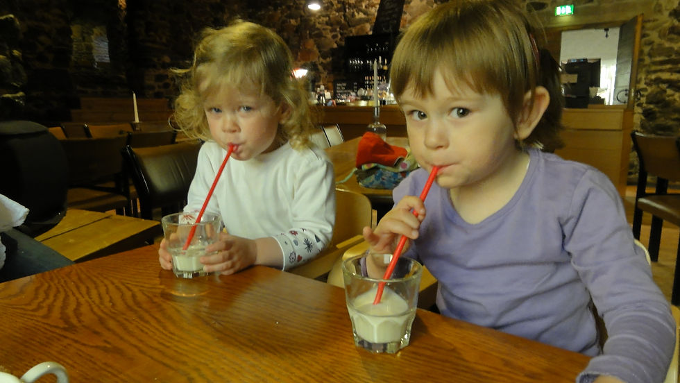 DSC03065 - Kopie - Kopie.JPG