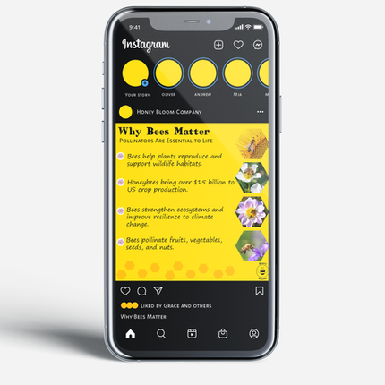 why-bees-matter-honeybloom-social-media-post