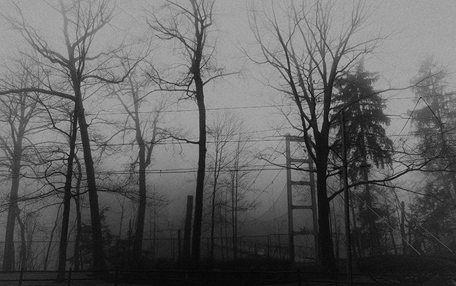 DSC5837BWP Morning Fog.jpg