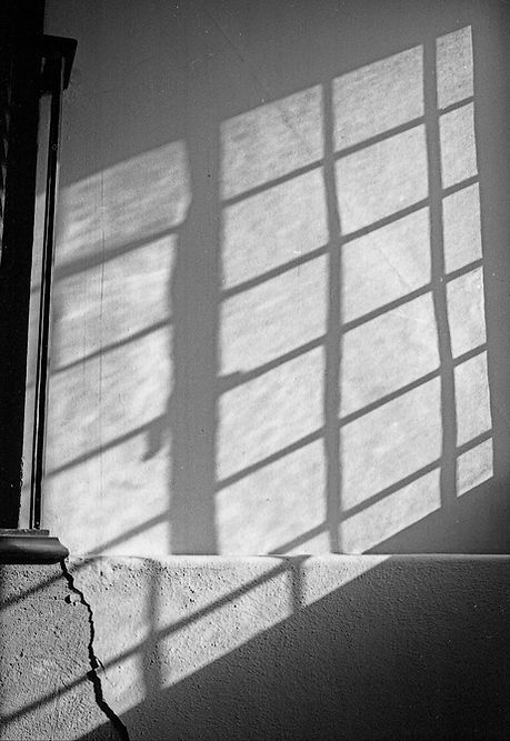 BW 1983 04 01 36 Shadows, Willard Straight Hall.jpg