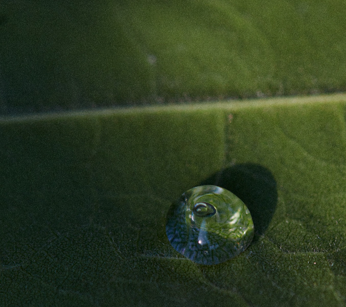 The Masons_Stella McCatrtney-75.jpg