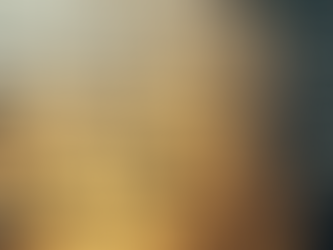 Ultimate Guide to Mobile Car Detailing Services