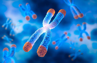 20230523-telomeres.jpg