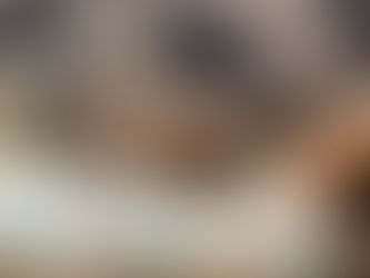 A brown and white dog sleeps curled up on a blanket while settling into a cozy home setting.