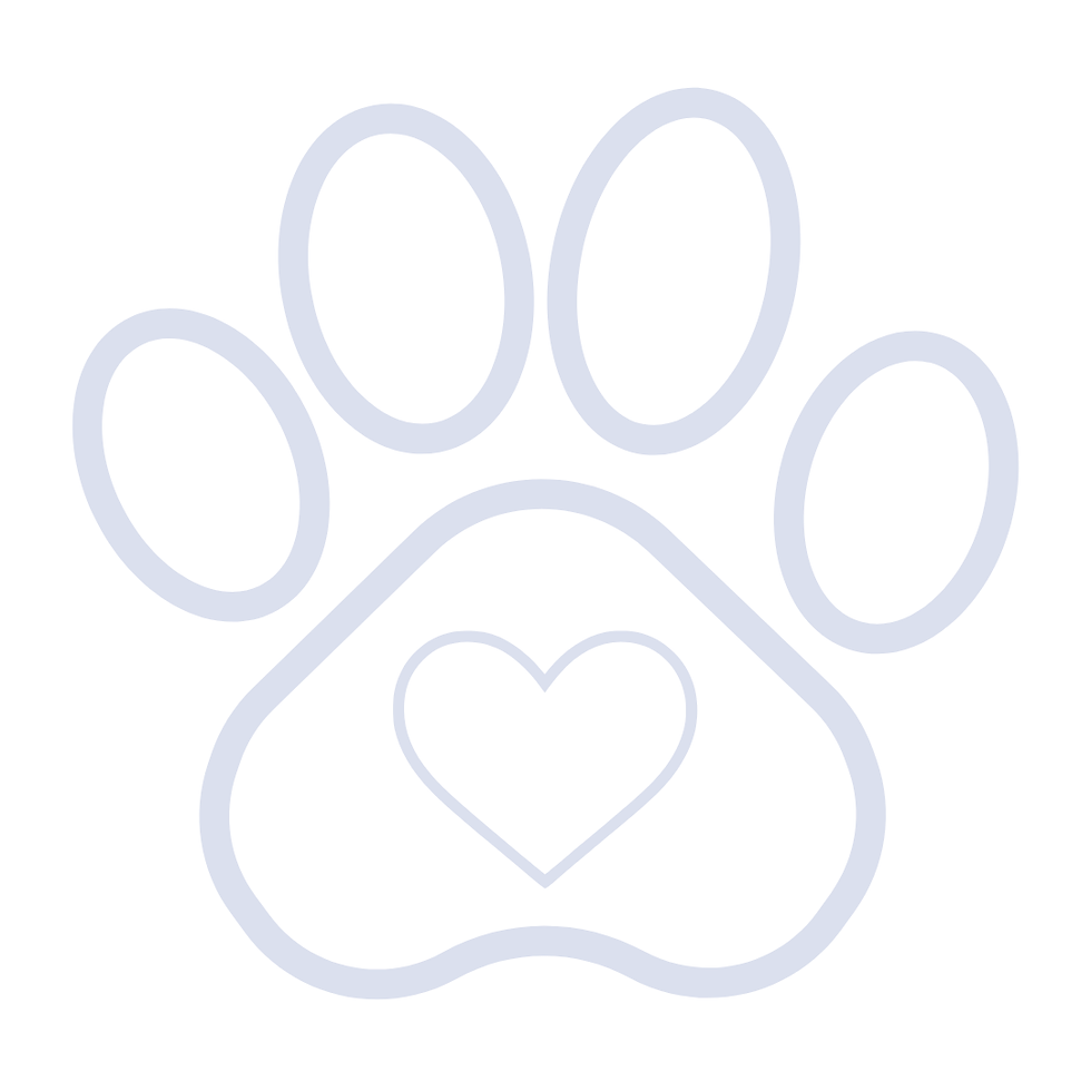 In Memory of a Pet