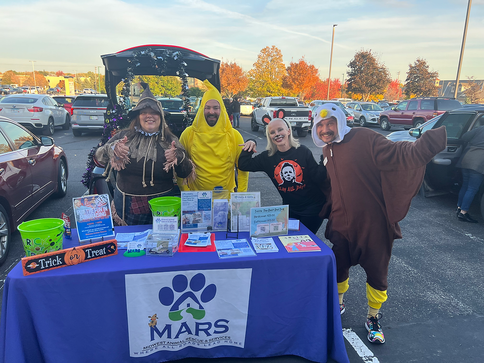 MARS at PINZ Spares & Scares