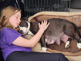 The story of MARS is still being written.
What began as a year of foundation became a year of growth.
Now, we’re focused on strengthening what we’ve built so we can continue serving more animals, more sustainably, in the years ahead.
Thank you for being part of that work.