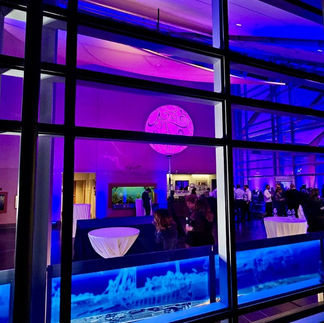 looking in at wedding lighting at the River View at Occoquan