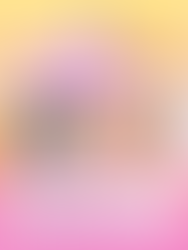 Sayonara Summer Live Series 🌄