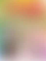 Seishun⭐Wonderland Announcement