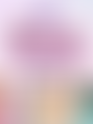 Meet & Greet Guide: NWIF 2024 Edition! 🎤