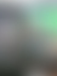 Event Photographers Wanted