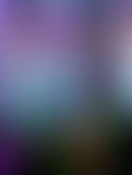 Non Sweet on New Music Now!