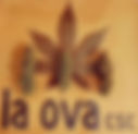 La Ova - Asociación - CSC - Valladolid 