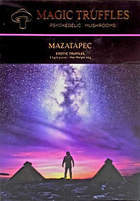 Mazatapec Chocolate truffle.jpg