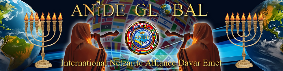 BANNER WEBSITE OFICIAL.png