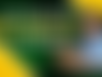 Smiling woman using laptop with text "How to Ace the Wipro Elite Test in 30 Days?" on a green and yellow background.