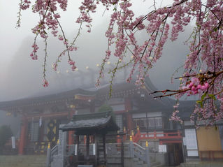 神社でのありがたいお言葉