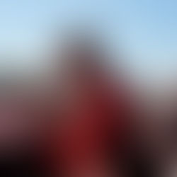 Fra flyvetur til delt føring