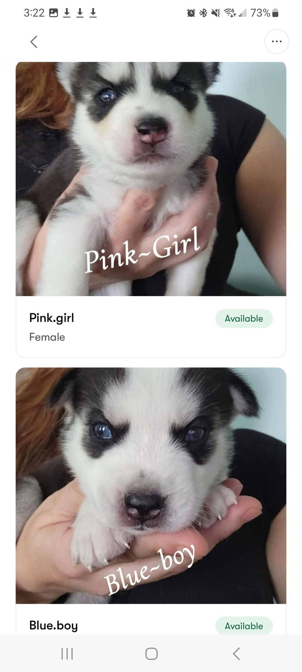 Screenshot_20250525_152220_Good Dog