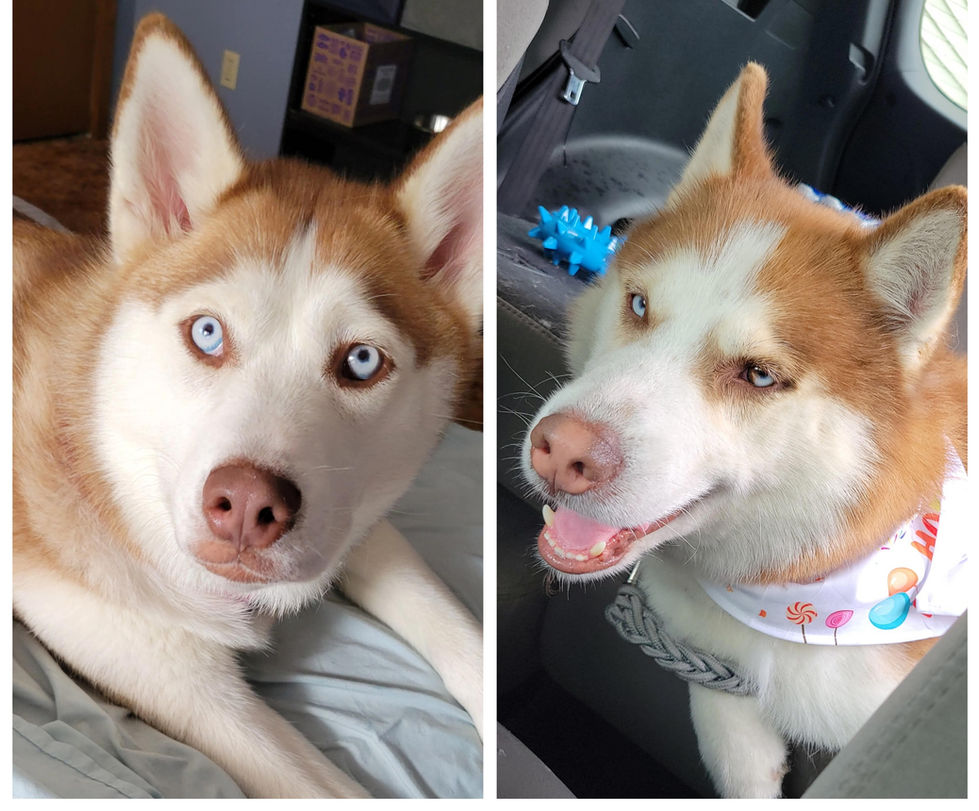 GridArt_20250720_191058896