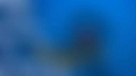 雇用頂尖人才之外的新選擇