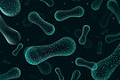 MIT-Microbiome-01-PRESS.jpg