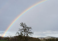 20240311_164841.jpg