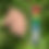 Thumbnail: Wooden Unicorn