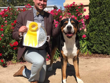 Enzo won BOB and a Group 3