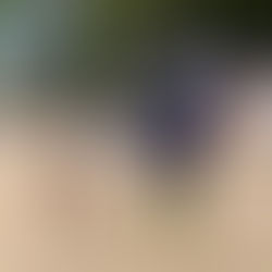 Pick of the Month, April 2025