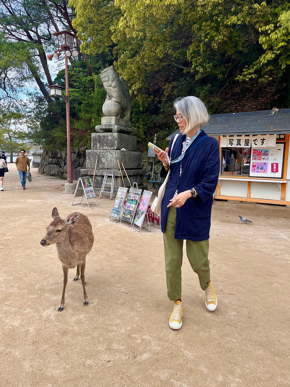 Pick of the Month, April 2025