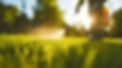 herbicide.jpg