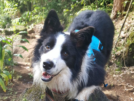 Calvin&Susie・ブーツでハイキング・Kidaちゃん