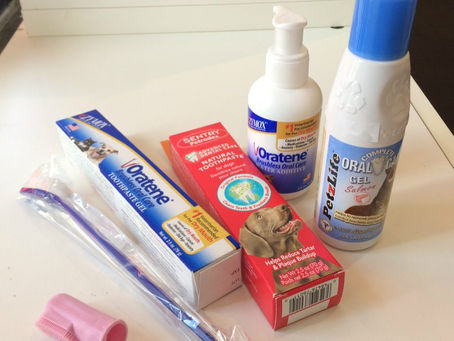 カルビン&スージー・お口のケア用・歯ブラシ・歯磨き粉・ジェル